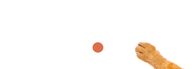 Cats.com