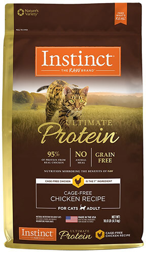 Best Cat Food For Abyssinian Cats 2024