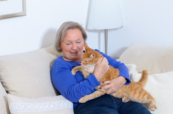 An image showcasing a heartwarming scene between an older lady and a cat.