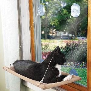 best cat window perch
