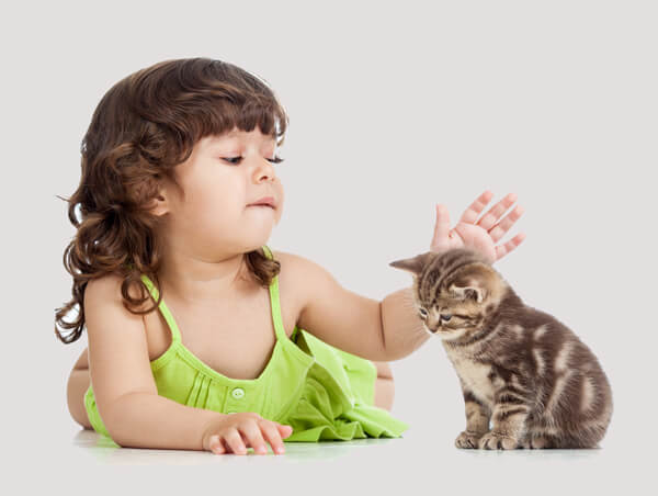 Gatos y niños: reglas para jugar con seguridad