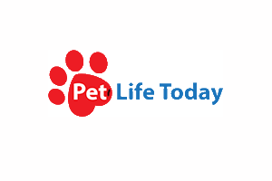 awarded Best Pet Blogs