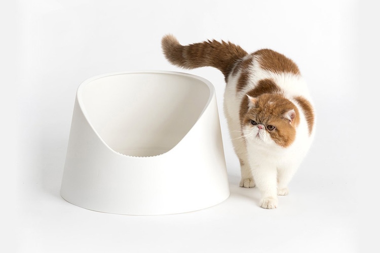 The image showcases a litter box filled with cat litter, resembling a small mountain, potentially emphasizing the importance of maintaining an appropriate amount of litter for feline hygiene.