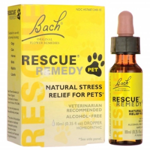 Image showcasing 5 Best Calming Aids for Cats - Cats.com