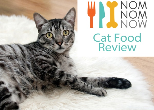 Nomnomnow cat hot sale food