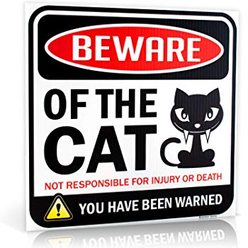 Beware of Cat Warning Sign | 12" x 12" | Danger Sign Funny Gag Gifts for window, office, bedroom decor, lockers, etc. | Corrugated Plastic