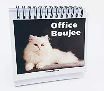 Office Gift For Cat Lovers - Moodycards