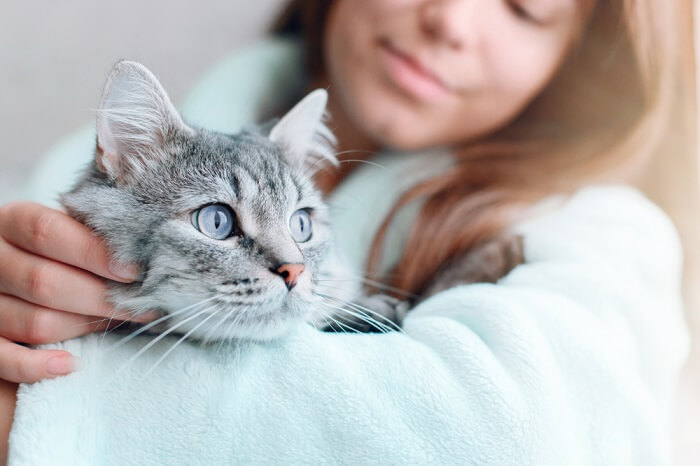 Cats know how to get their owner's attention by eating their hair.