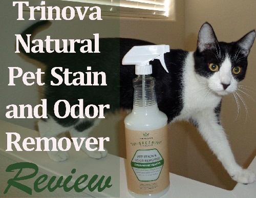 Pet stain on sale odor remover homemade