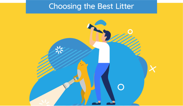 choosing the best cat litter