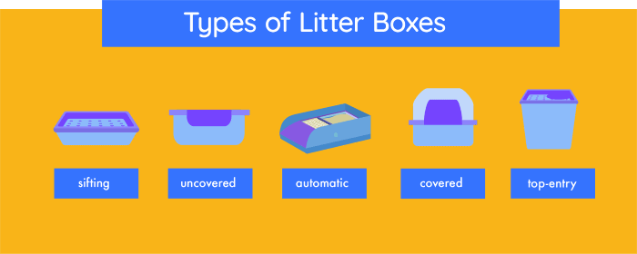 types of cat litter boxes