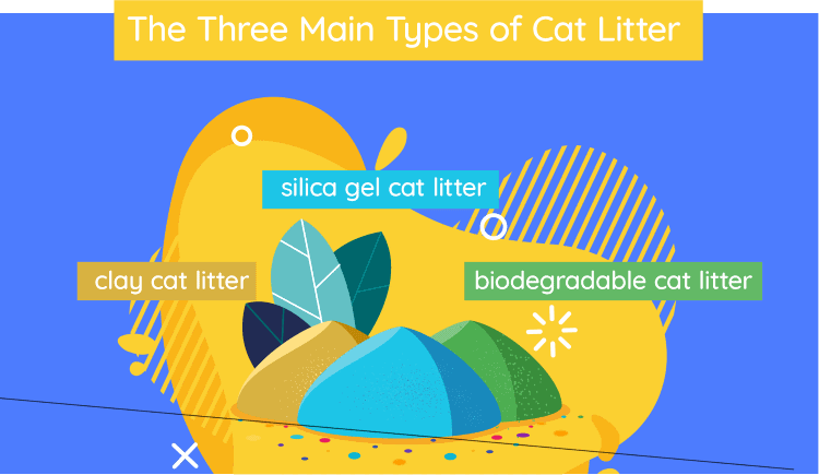 top three types of cat litter products