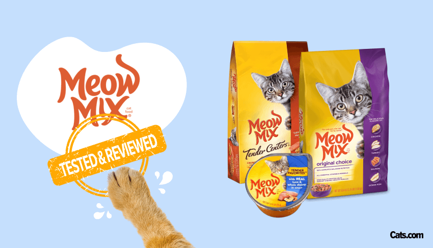 Rachael Ray Cat Food Review: Unbiased and Informative