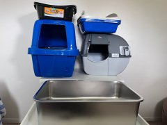 7 Best Sifting Litter Boxes