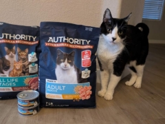 Authority Cat Food