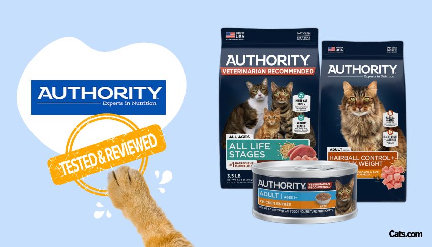 Authority Cat Food Brand Review