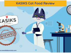 KASIKS