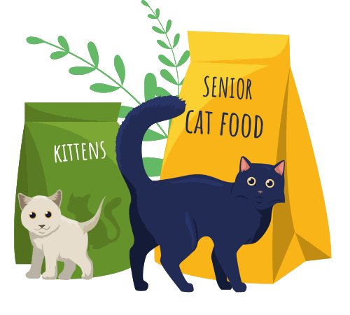 Illustration of kitten food and adult cat food