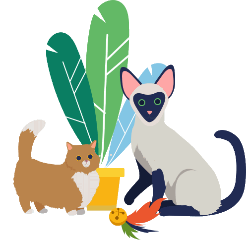 illustration of two cats playing