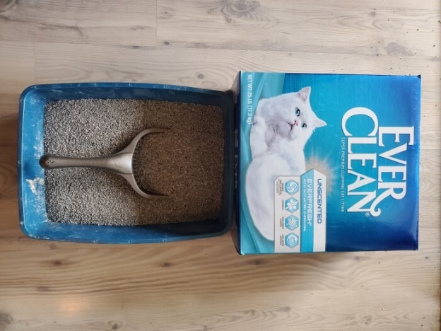 The 12 Best Clumping Cat Litters in 2023 - Cats.com