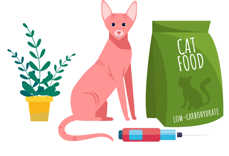 Visual aid illustrating the process of feeding cats with diabetes.