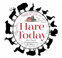 Hare Today logo