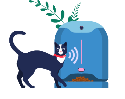 cat and cat feeder