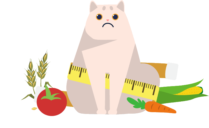 illustration of overweight cat