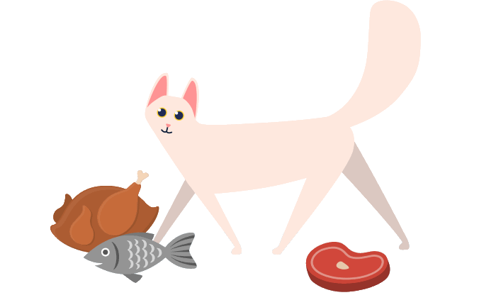 illustration of what proteins cats eat