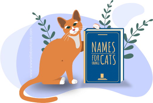 165+ Unique Orange Cat Names for Your Ginger Kitty