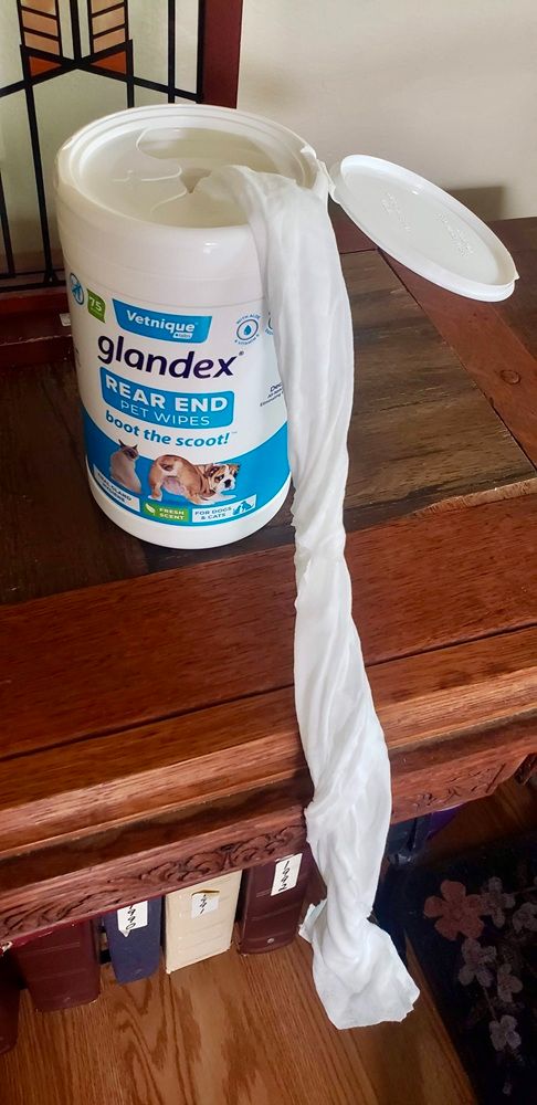 Vetnique Labs Glandex Boot the Scoot Rear End Pet Wipes