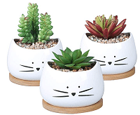 Koolkatkoo 3.2 Inch Cute Cat Ceramic Succulent Planter Pot