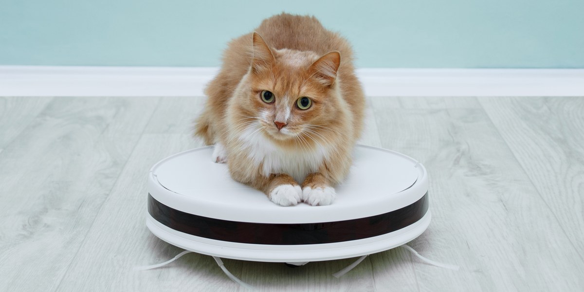 Irobot roomba store for pet hair