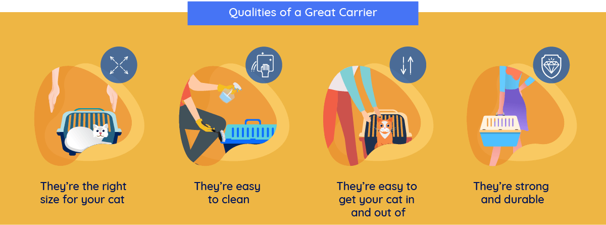 best per carrier for cats