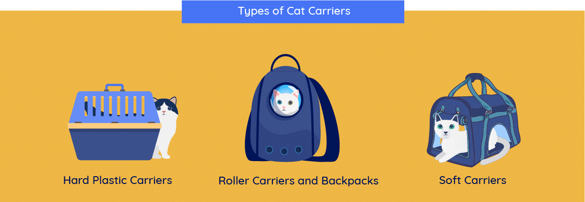 types of cat carries