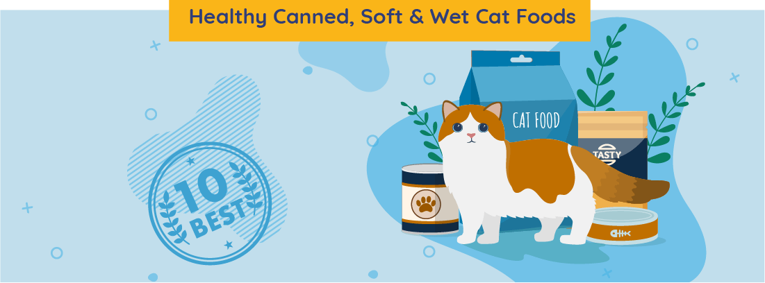best wet cat foods