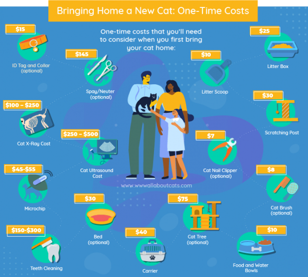 How Much Does It Cost To Own A Cat In 2023