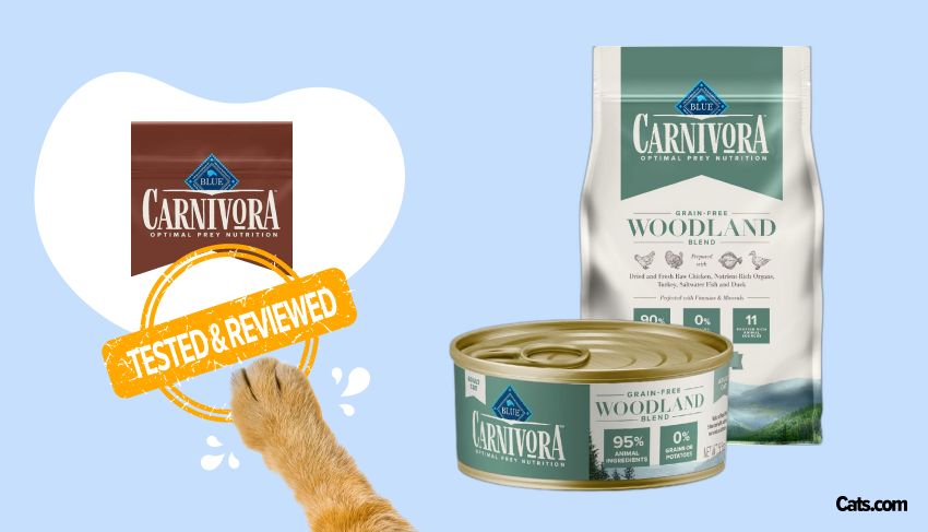 Blue Buffalo Carnivora Woodland Cat Food Brand Review