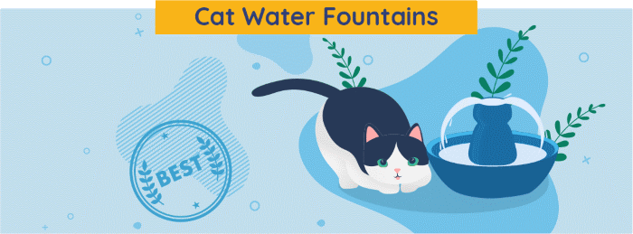 Cat Fountain