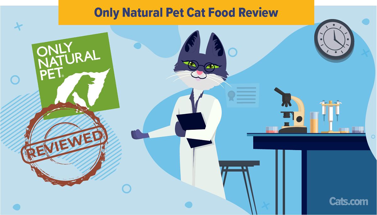 Only natural pet clearance powerfusion cat food