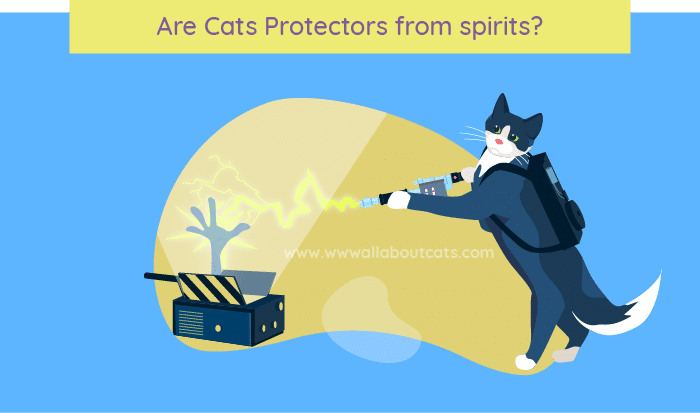 Are Cats Protectors from spirits