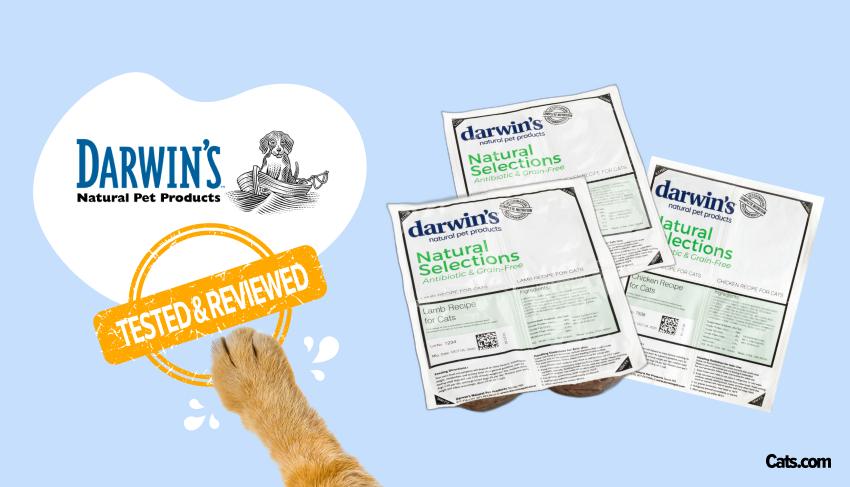 Brand Review  - Darwin’s