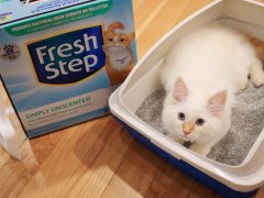 Fresh Step Simply Unscented Clumping Cat Litter