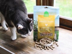 Open Farm Freeze Dried Raw Harvest Chicken Cat Food
