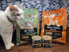 Victor Cat Food Review