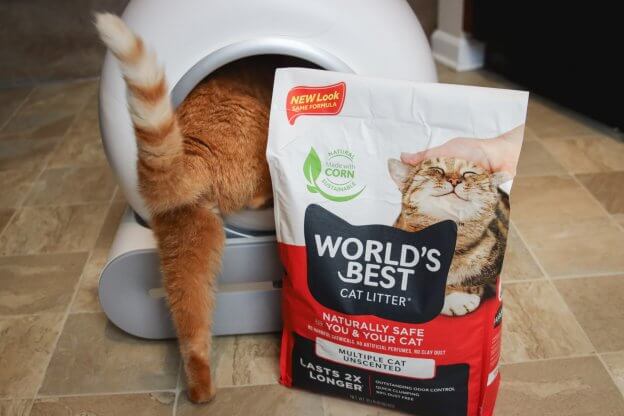 Unbiased World’s Best Cat Litter Review - Cats.com