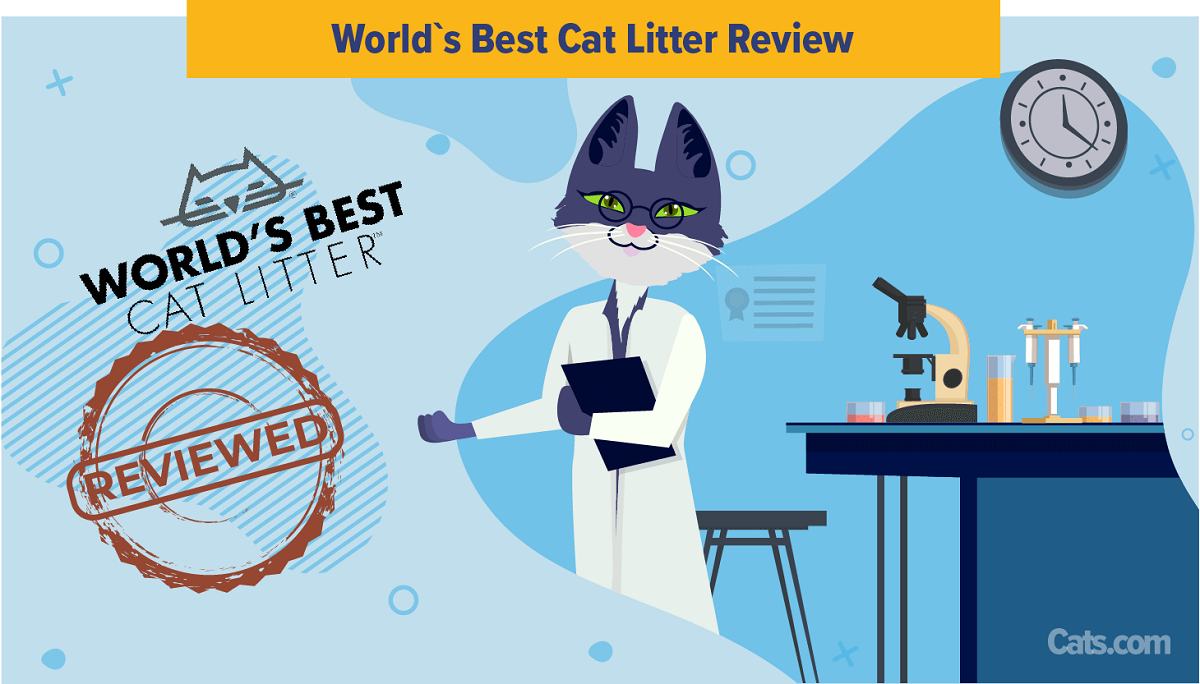 World’s Best Cat Litter featured image