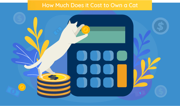 Cost of cat litter per clearance month