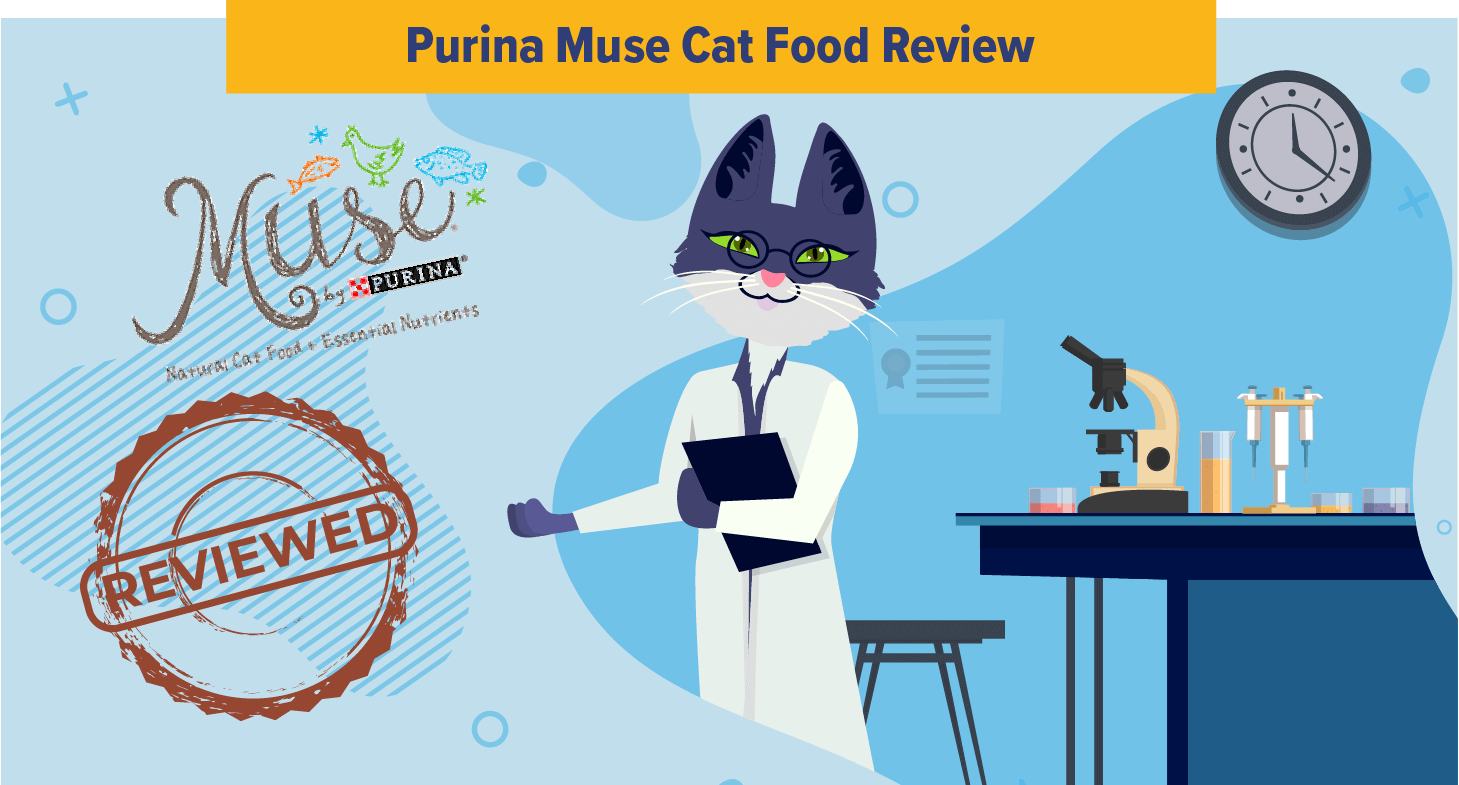 purina muse cat food