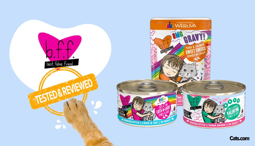 BFF [Best Feline Friend] Cat Food Brand Review
